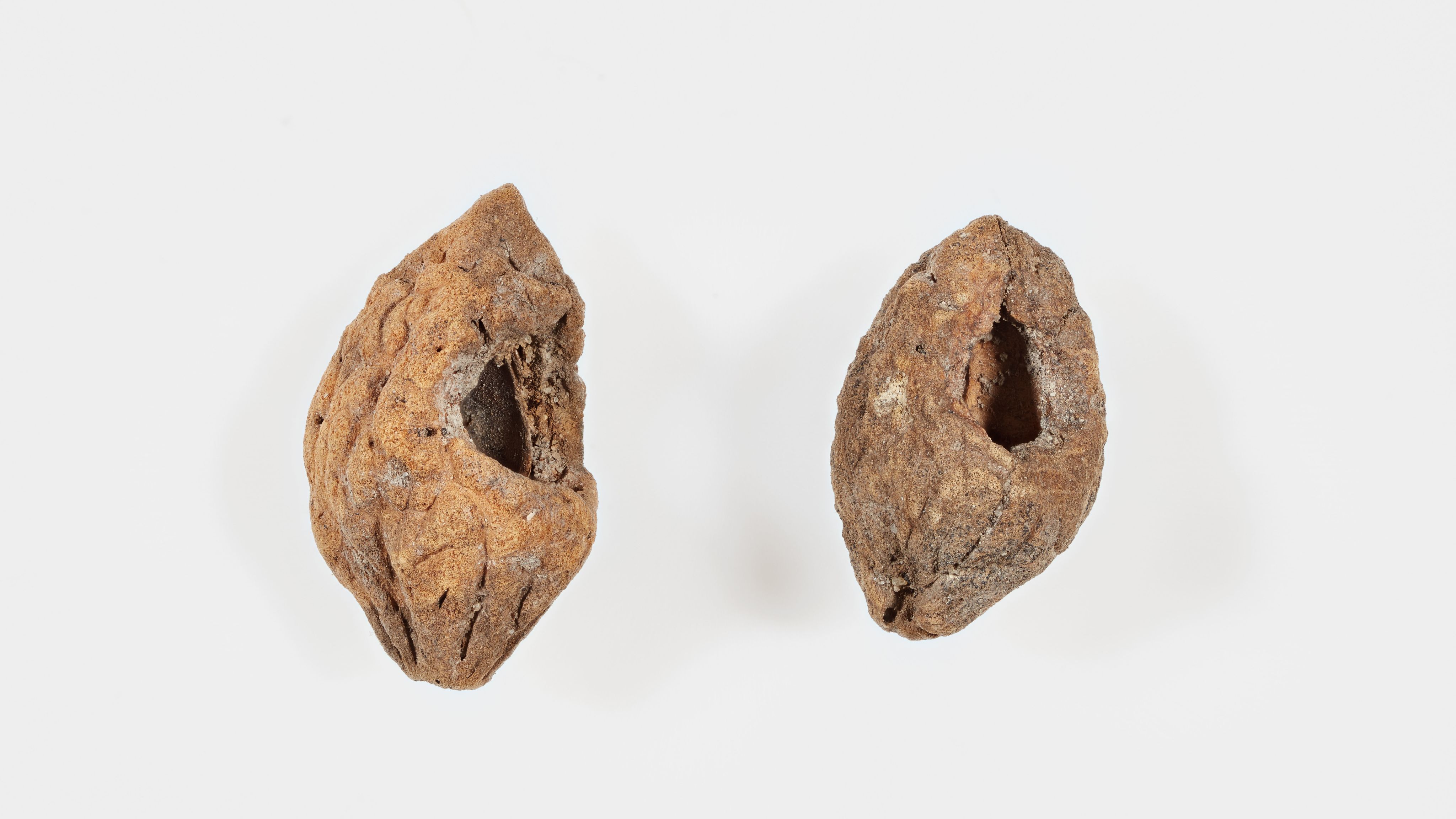 Pāwhiri kia tirohia